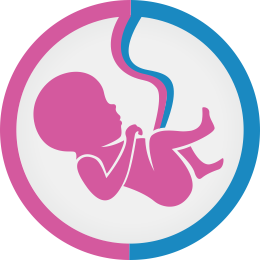 Tipos de c�lulas madre